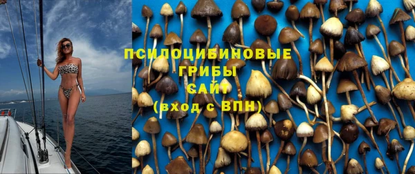 гашишное масло Аркадак