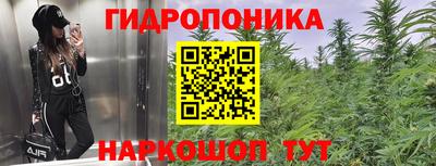 гашиш Дмитров