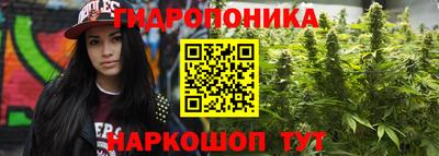 гашиш Дмитров