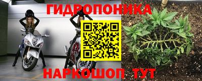 гашиш Дмитров