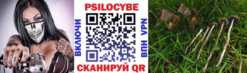 Псилоцибиновые грибы ЛСД  где продают наркотики  Белорецк 