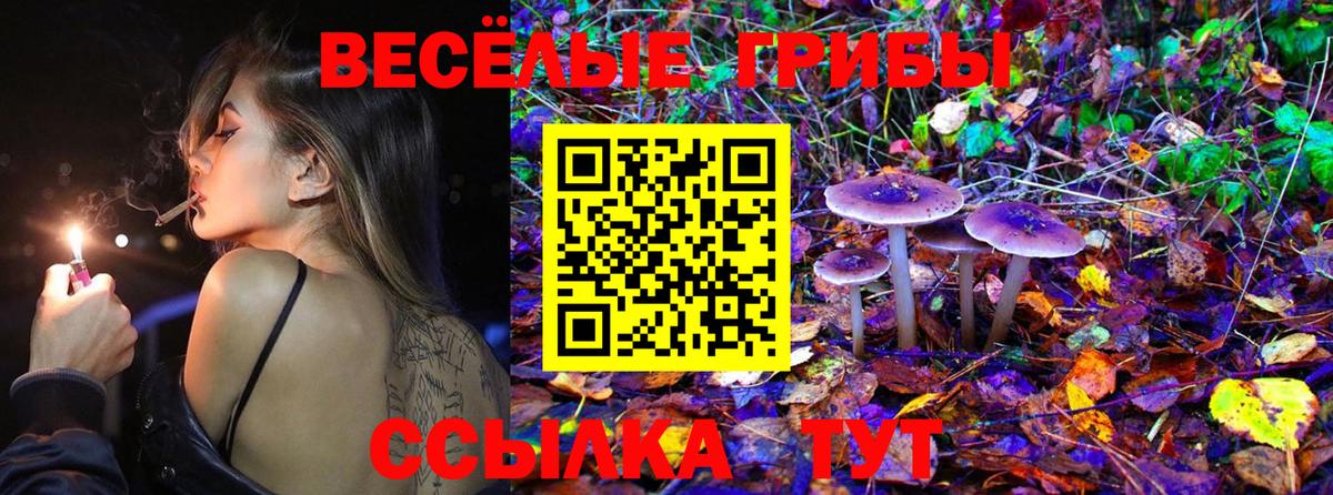 где найти   Псилоцибиновые грибы MAGIC MUSHROOMS  Вход с VPN  Белорецк 