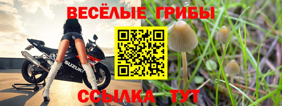 Псилоцибиновые грибы мухоморы Белорецк